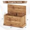Large Wooden Storage Chest with Safety Hinge & Lift-Top Lid Off Toy Box Organizer Bench for Bedroom